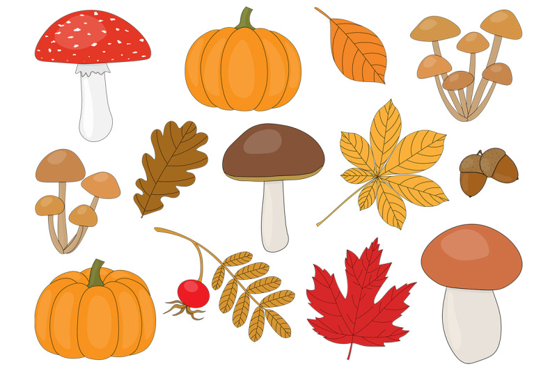 set-autumn-vector-illustration
