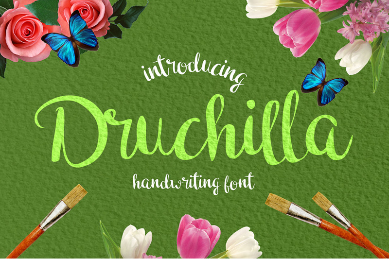 druchilla-modern-script