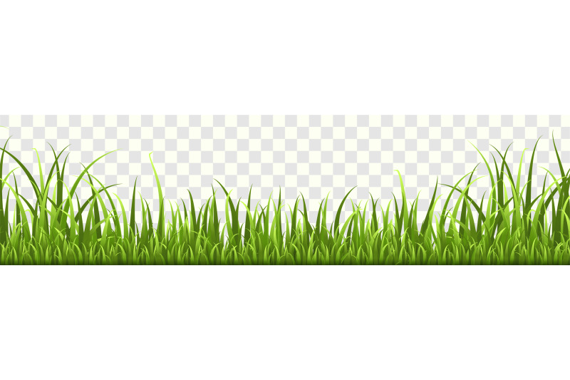 grass-border-panorama-of-natural-lawn-or-meadow-in-garden-isolated-v
