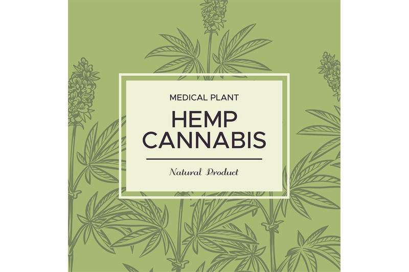 cannabis-sketch-background-hemp-branches-cosmetic-and-medical-plant