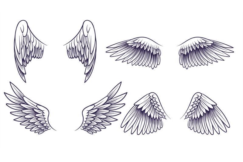 sketch-angel-wings-hand-drawn-different-wings-with-feathers-black-bi