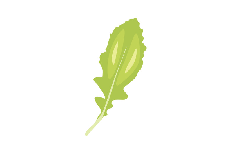 turnip-leaf