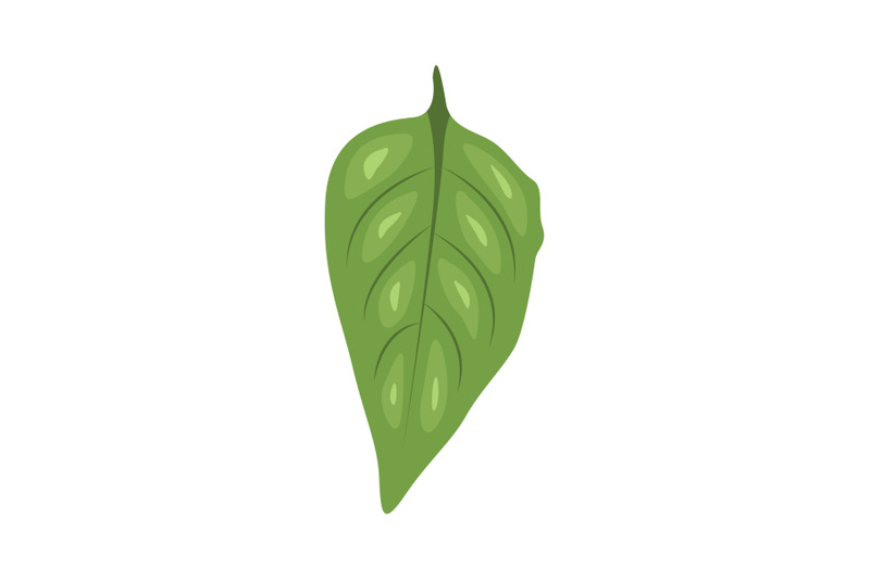 nightshade-leaf