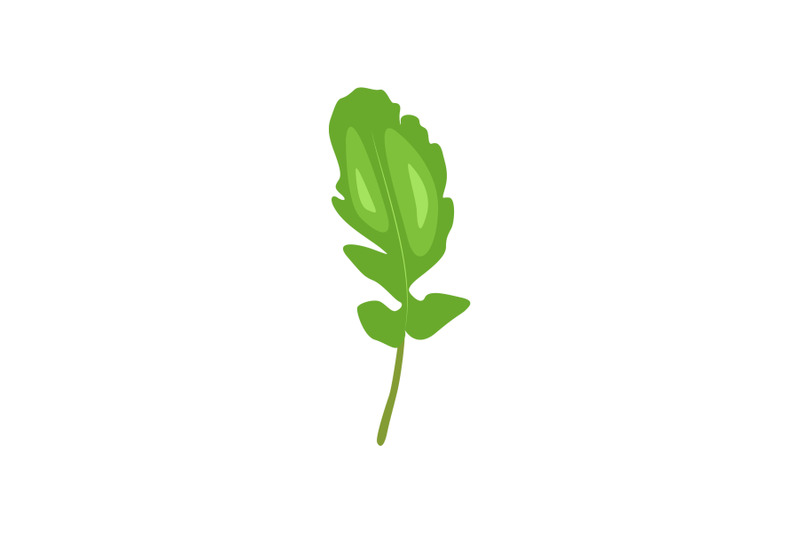 radish-leaf