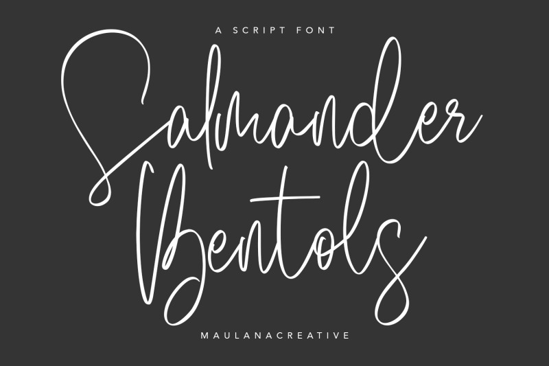 salmander-bentols-script-signature-typeface-font