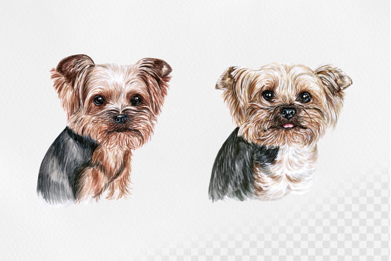 yorkshire-terrier-dog-watercolor-set-illustrations-7-dogs