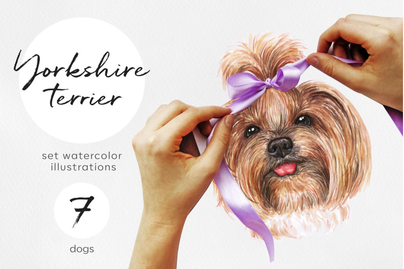 yorkshire-terrier-dog-watercolor-set-illustrations-7-dogs