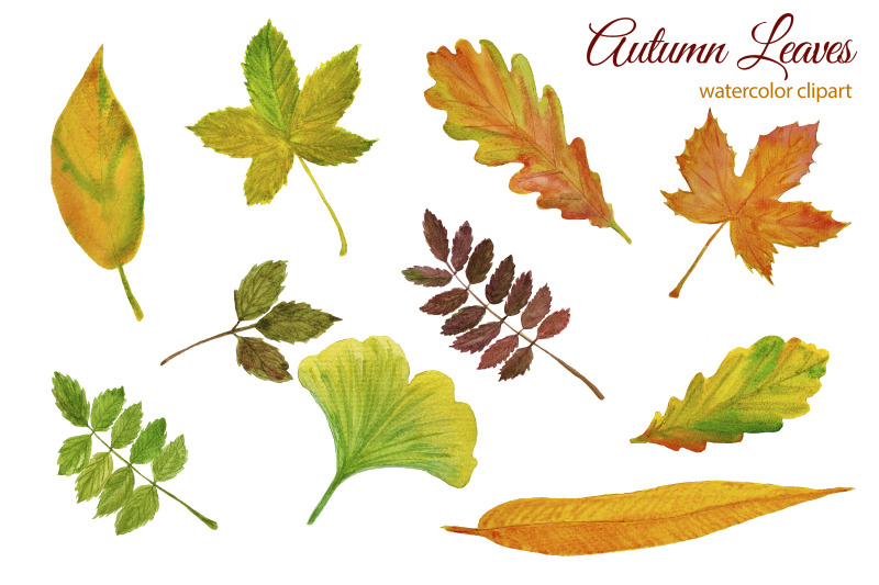 fall-clipart-watercolor-autumn-leaves-fall-wreath-oak-leaves-and-ac