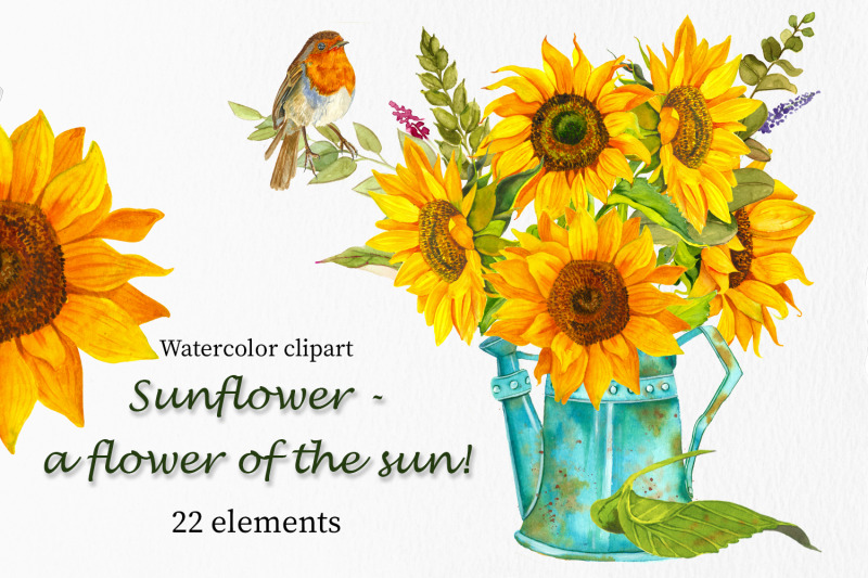 Sunflower - a flower of the sun! Watercolor clipart By Elenazlata_Art
