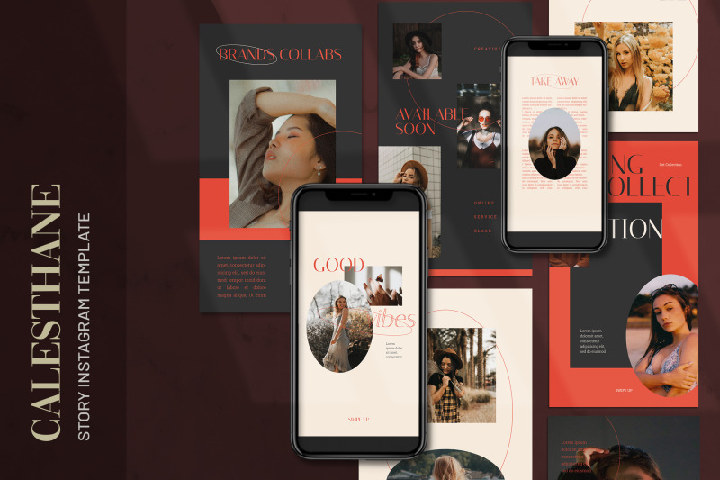 calesthane-fashion-instagram-stories-template