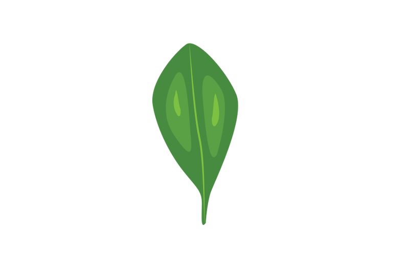 dotted-hawthorn-leaf