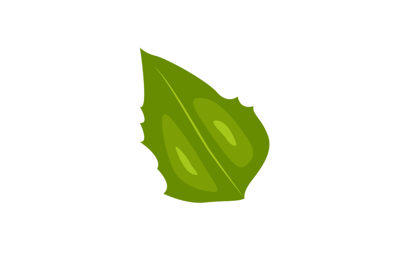 river-birch-leaf