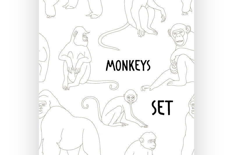 different-types-of-monkeys-pattern