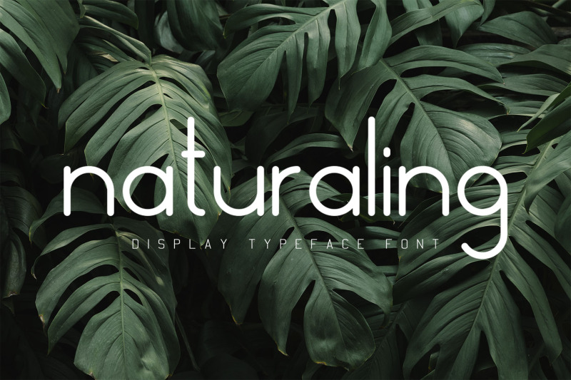 naturaling-display-font