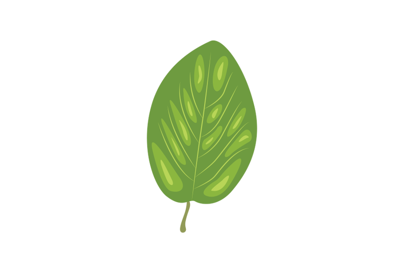 wayfaring-tree-leaf