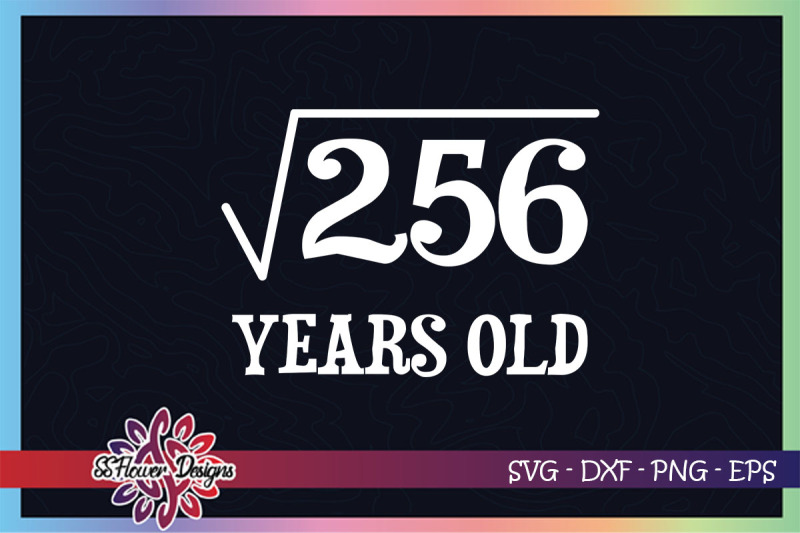 funny-math-square-root-256-birthday-svg-16-years-old-svg