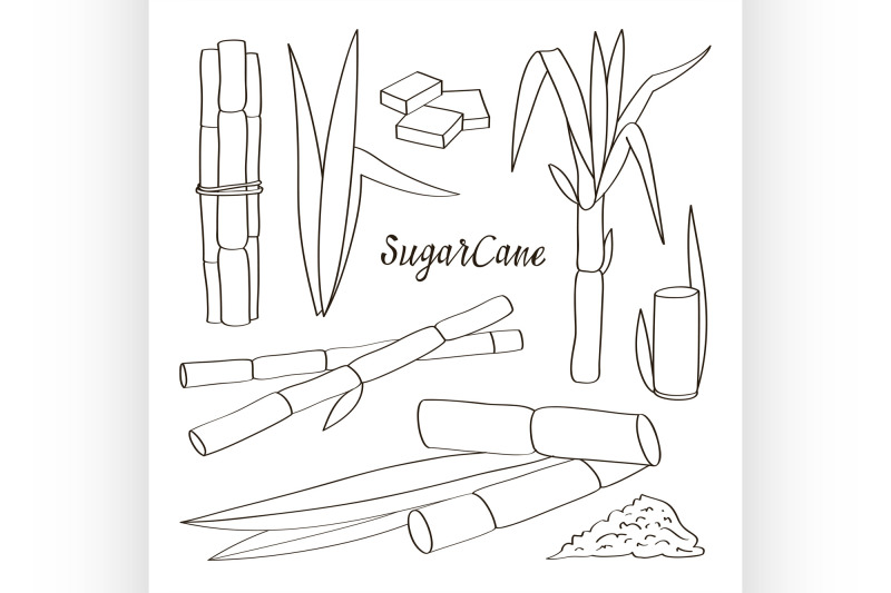 sugar-cane-icons