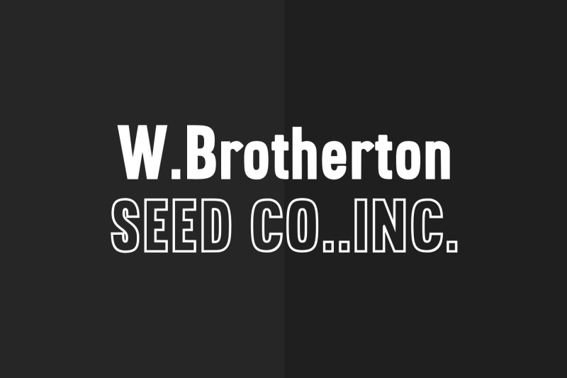 brotherton-vintage-sans-serif-font-typeface