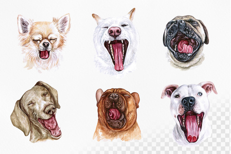 watercolor-set-yawn-dog-illustrations-6-dogs-sleep