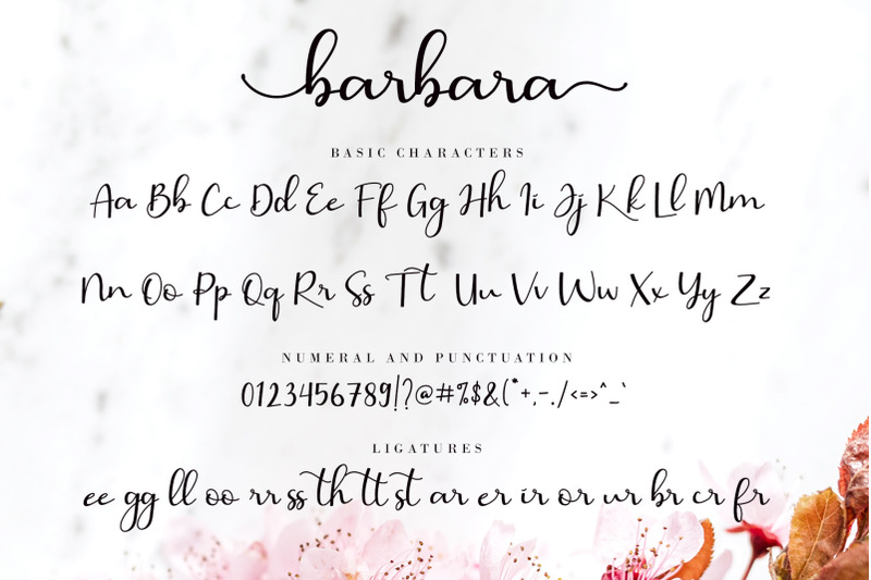 barbara-calligraphy