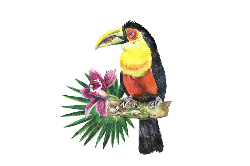 watercolor-tropical-birds-summer-tropical-flamingo-parrot-toucan