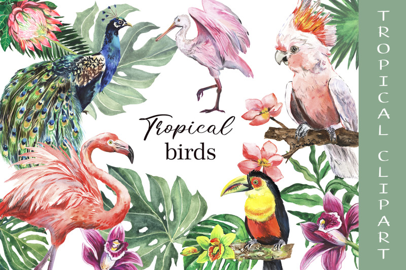 watercolor-tropical-birds-summer-tropical-flamingo-parrot-toucan