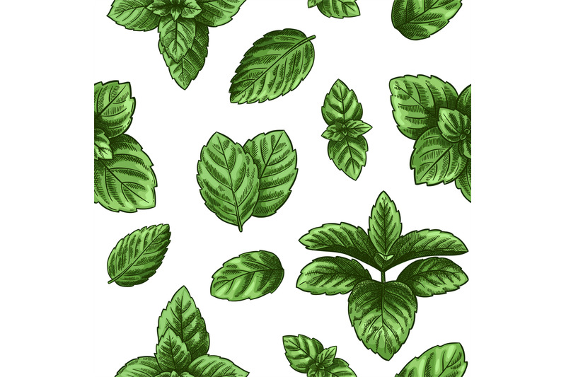 mint-seamless-pattern-green-peppermint-leaves-spearmint-healing-herb