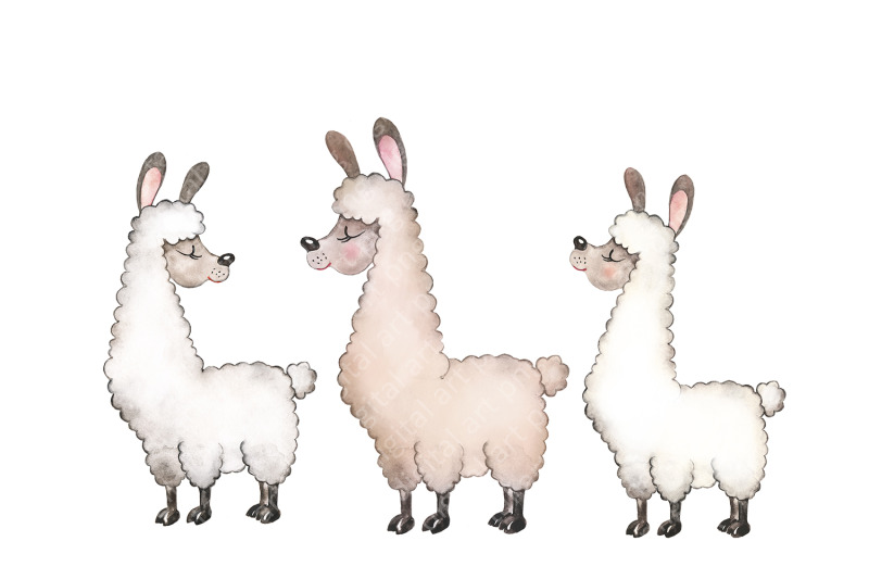 cute-llama-watercolor-clipart-llama-party-balloons-cake-ice-cream