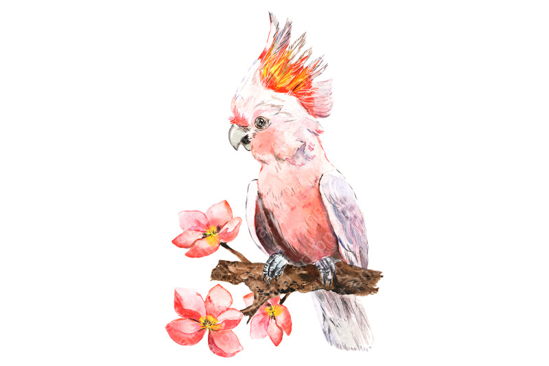 watercolor-tropical-frame-with-a-parrot-and-flowers-golden-frame