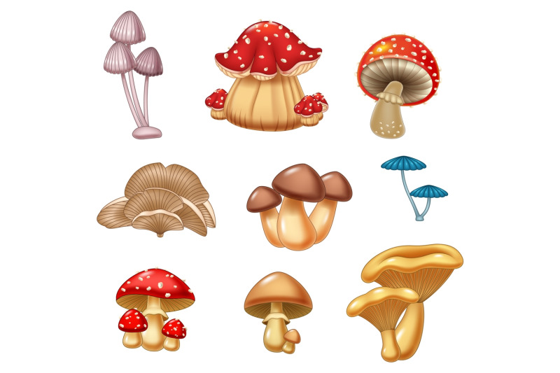 mushrooms-vector-set
