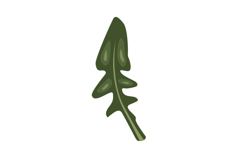 sonchus-arvensis-leaf