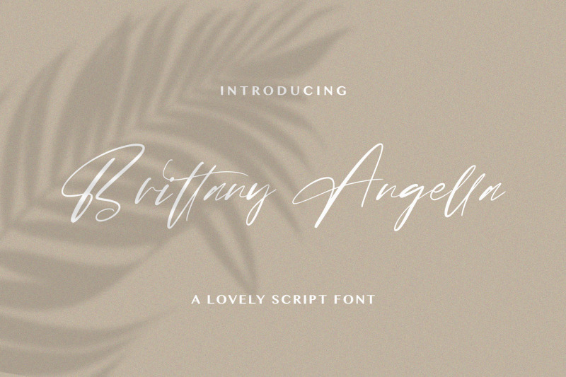 brittany-angella-lovely-script-font