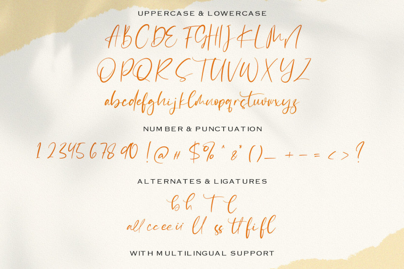 catthy-wellingten-modern-script-font