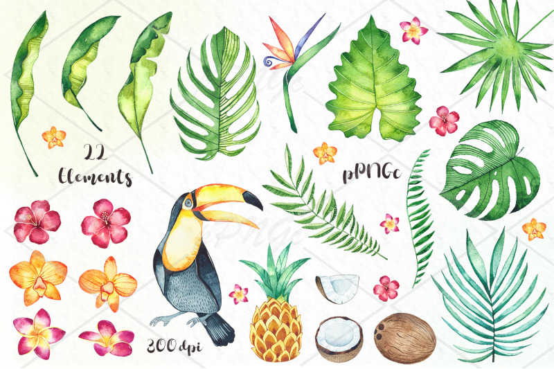 watercolor-tropical-mood-clipart