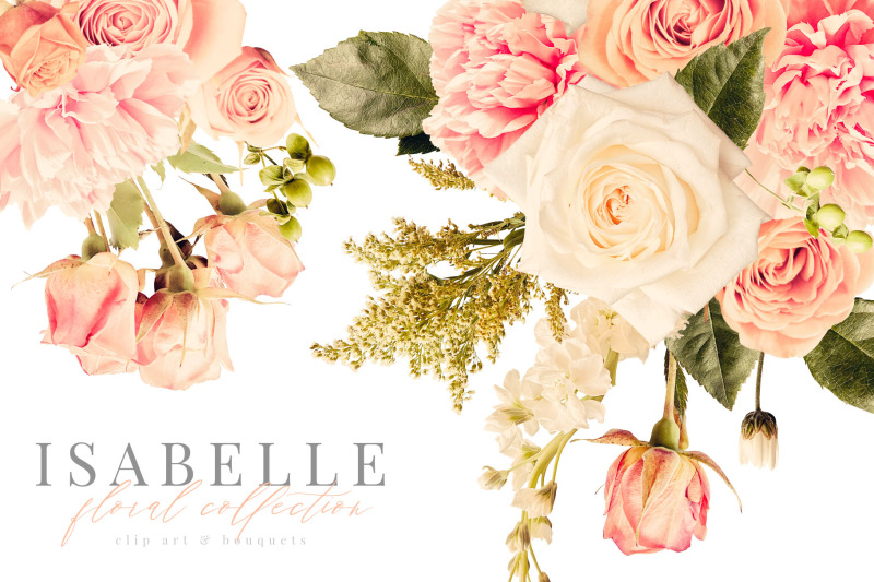 isabelle-clip-art-floral-graphics-collection