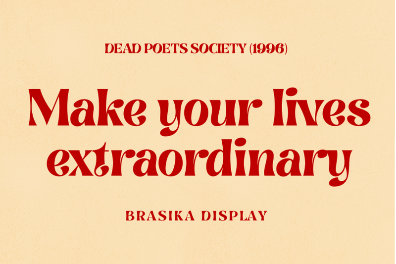 brasika-display