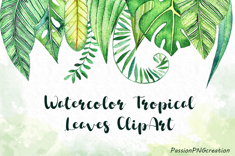 watercolor-tropical-leaves-clip-art