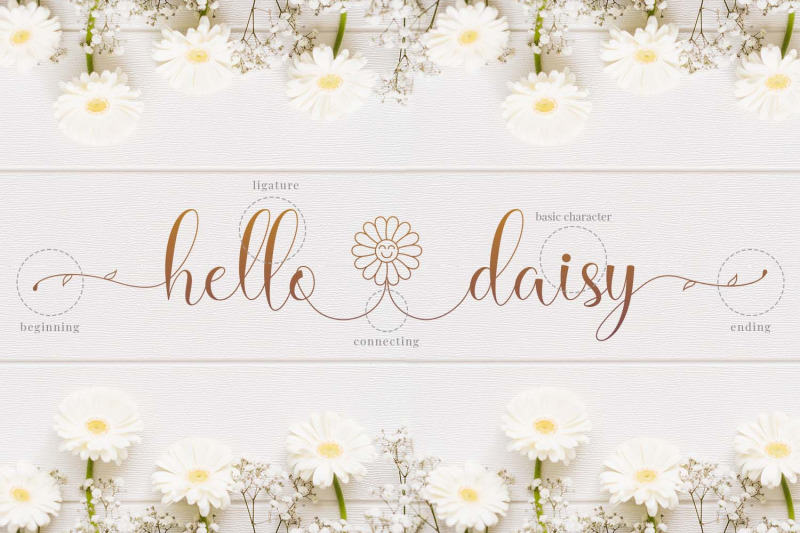 hello-daisy-flowering-script