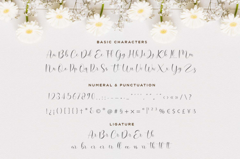hello-daisy-flowering-script