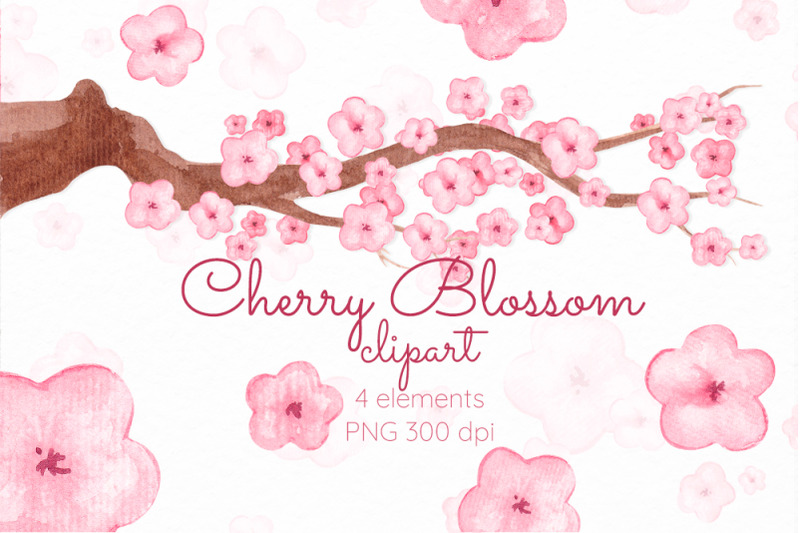 cherry-blossom-clipart-sakura-flowers-watercolor-clip-art-pink-flowers
