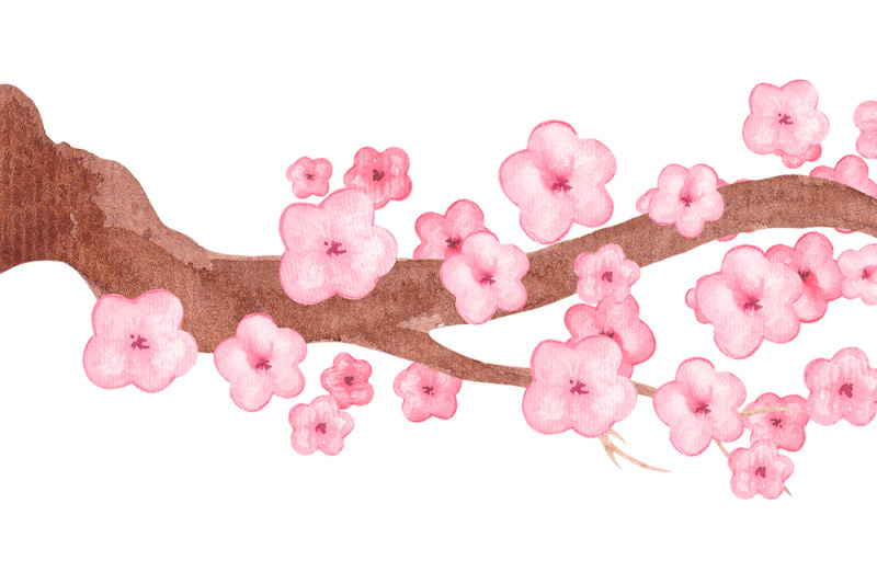 cherry-blossom-clipart-sakura-flowers-watercolor-clip-art-pink-flowers