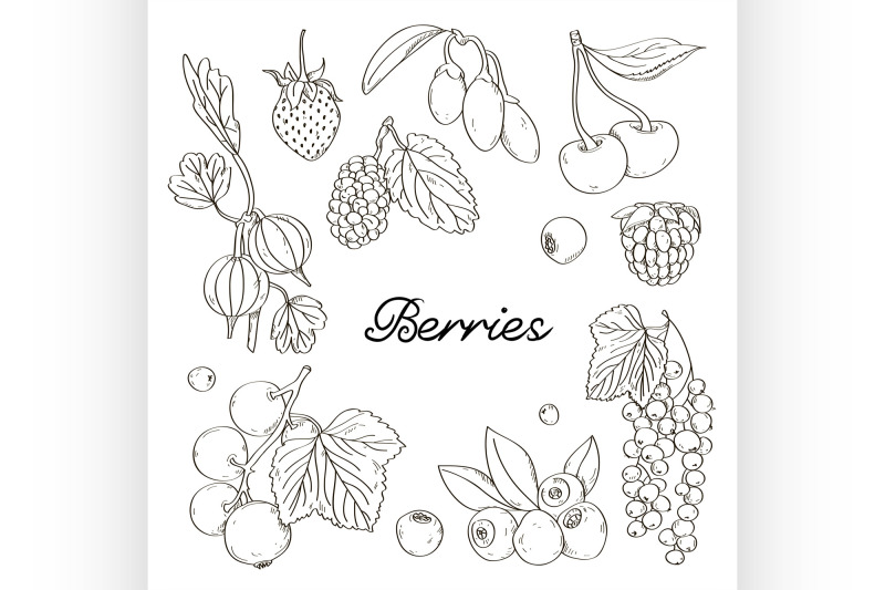 berries-icons-set