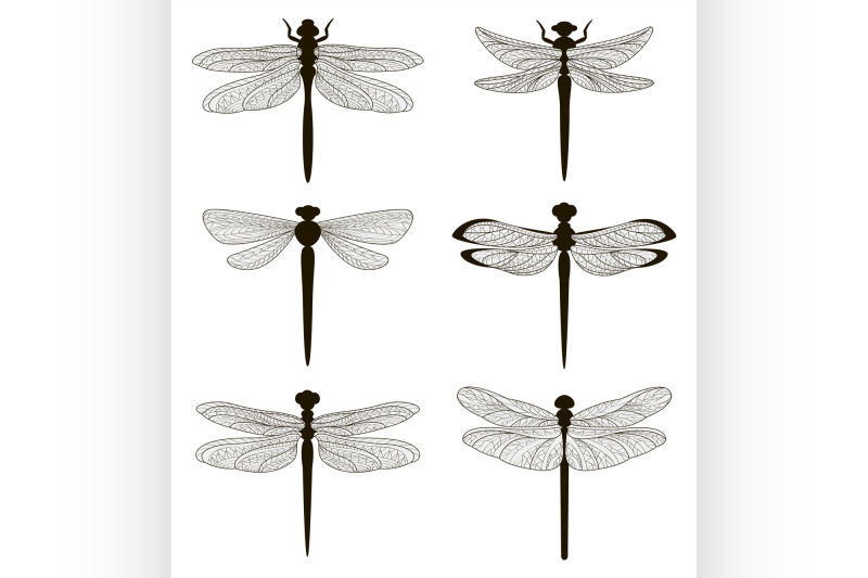 set-of-silhouettes-of-dragonflies