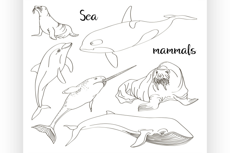 sea-mammals-animal-collection-icons-set