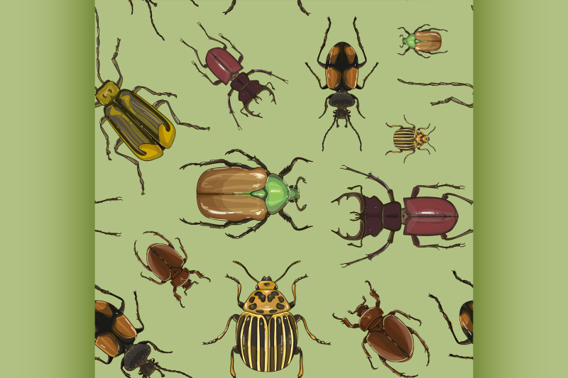 set-of-beetle-illustrations-pattern