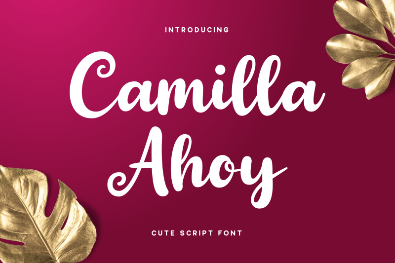 camilla-ahoy-cute-script-font
