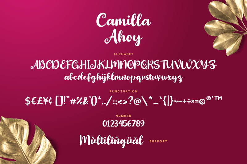 camilla-ahoy-cute-script-font