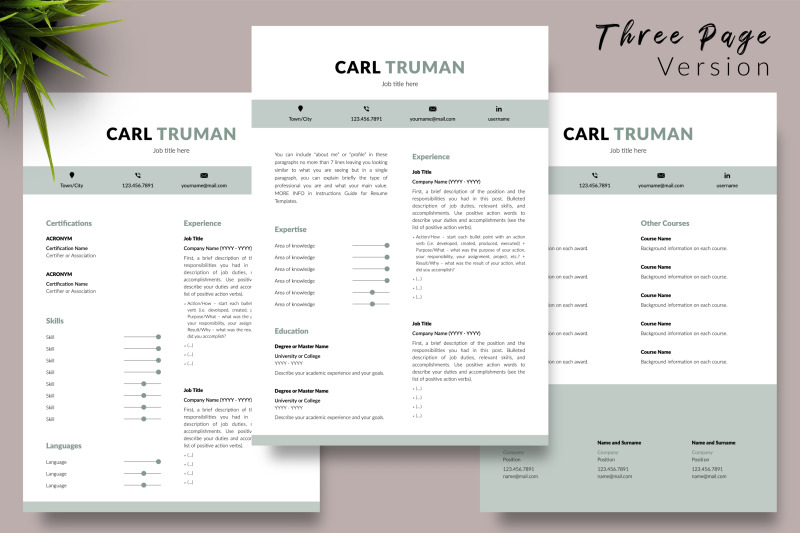 modern-resume-cv-template-for-microsoft-word-amp-apple-pages-carl-truman