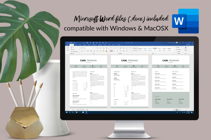 modern-resume-cv-template-for-microsoft-word-amp-apple-pages-carl-truman