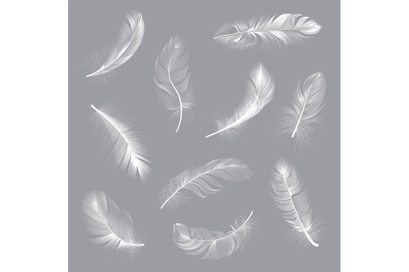 realistic-feathers-fluffy-white-twirled-feathers-bird-wing-falling-w